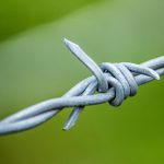 How Healthy Boundaries Nurture a Child’s Freedom